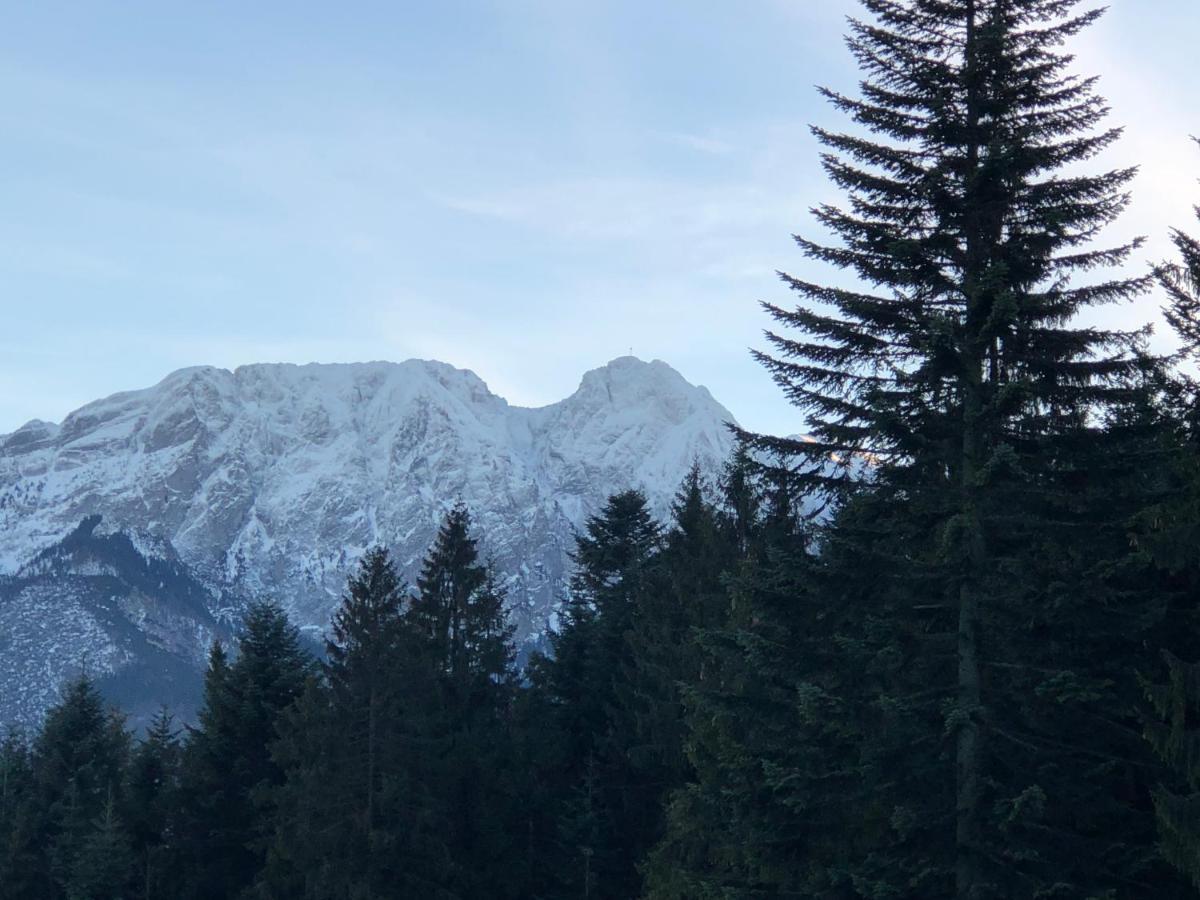 זקופאנה Dom Wypoczynkowy I Apartamenty "Nabucco" Z Widokiem Na Giewont I Gory מראה חיצוני תמונה