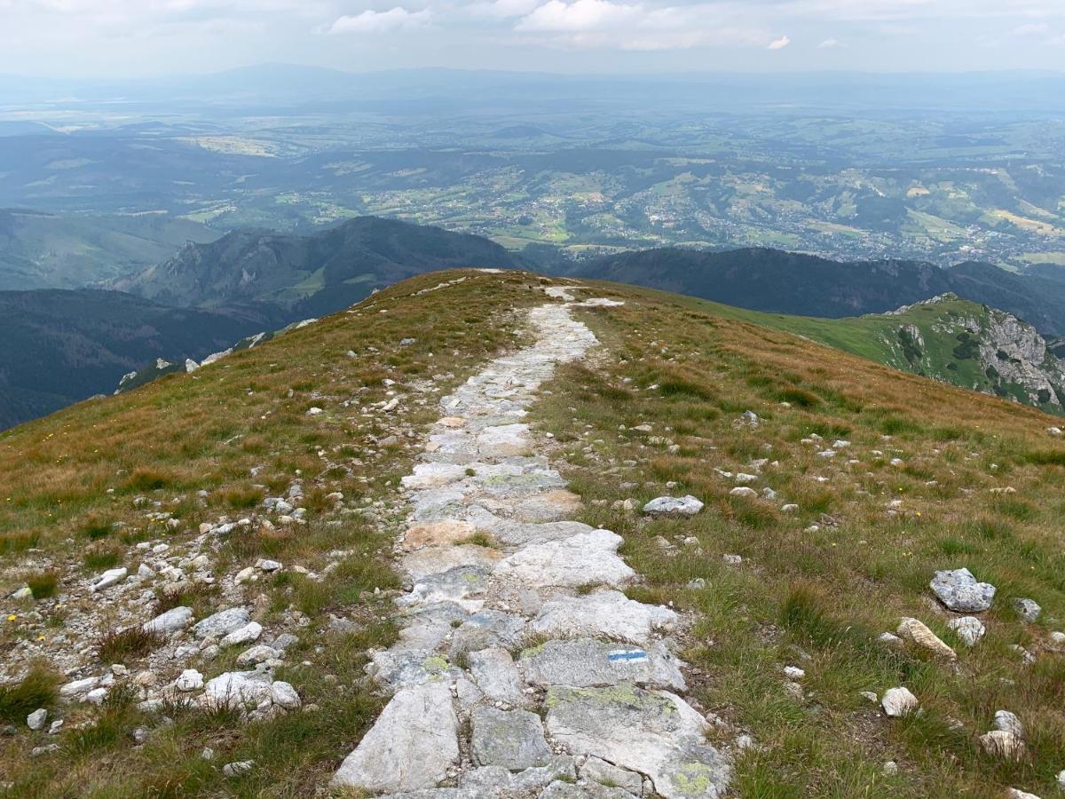 זקופאנה Dom Wypoczynkowy I Apartamenty "Nabucco" Z Widokiem Na Giewont I Gory מראה חיצוני תמונה