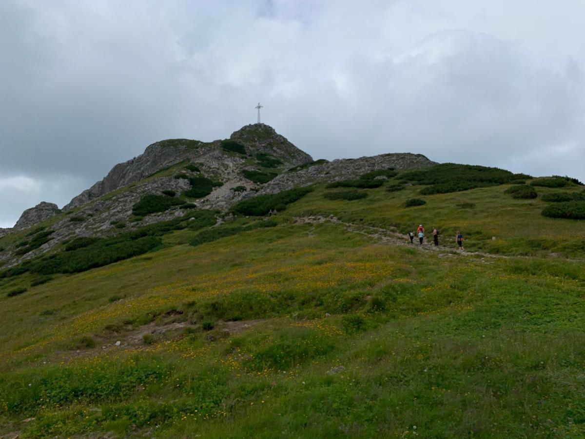 זקופאנה Dom Wypoczynkowy I Apartamenty "Nabucco" Z Widokiem Na Giewont I Gory מראה חיצוני תמונה